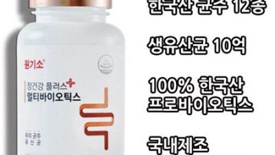 원기소 후기: 솔직한 내 경험과 꿀팁 대방출! ✨
