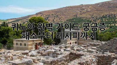 퀴노아 완벽 가이드: 궁금증 해소부터 레시피까지